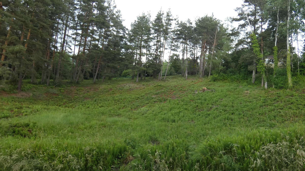 Terrain à COURPIERE