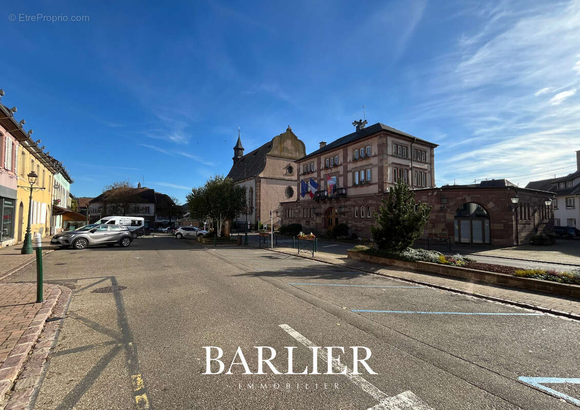 Commerce à WASSELONNE