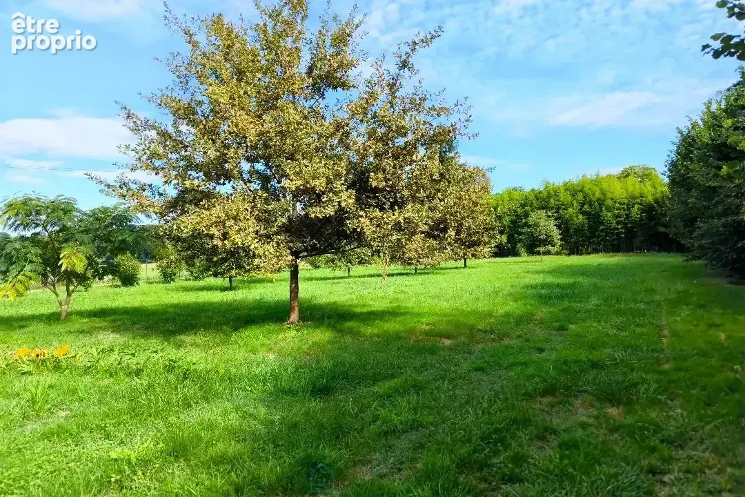 A  l'est de bergerac, maison de 2021 avec double garage et grand jardin - photo 12