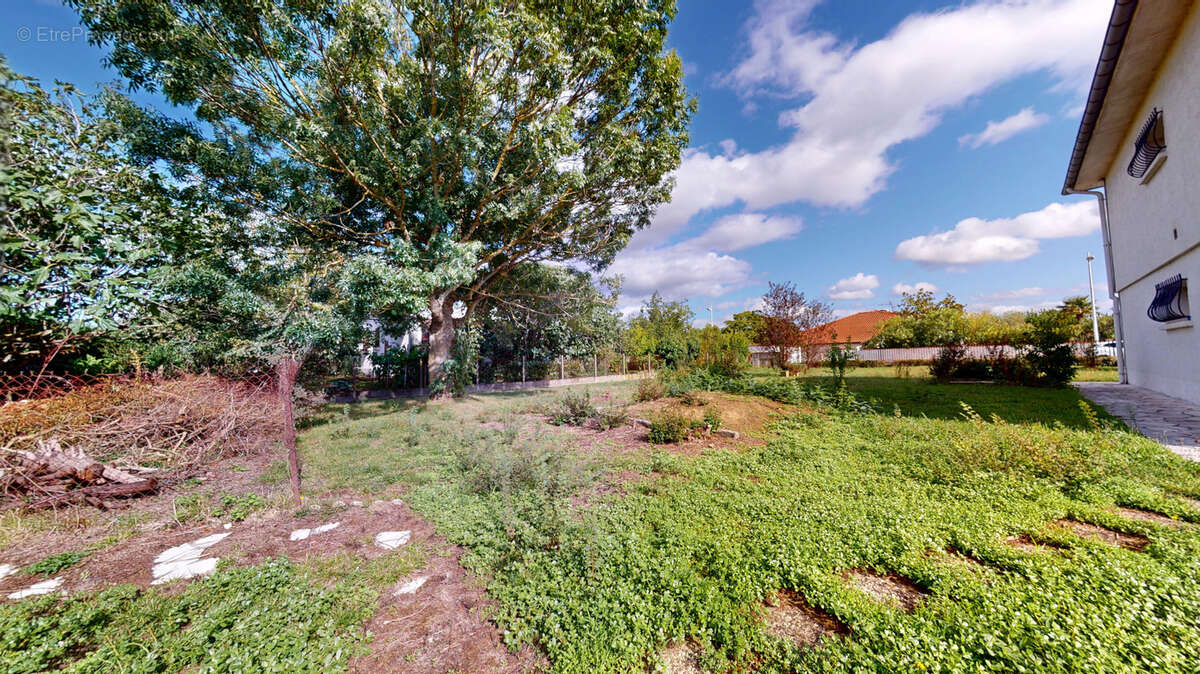 Terrain à LA SALVETAT-SAINT-GILLES