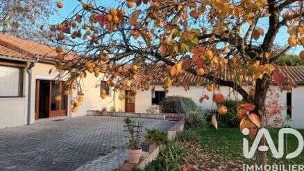 Photo 2 - Maison à CHAUVIGNY
