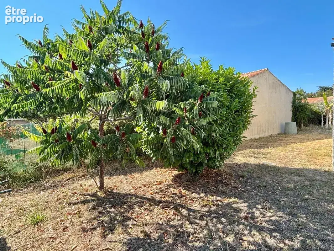 Maison idéalement située à Saint-Pierre-d’Oléron ! - photo 4
