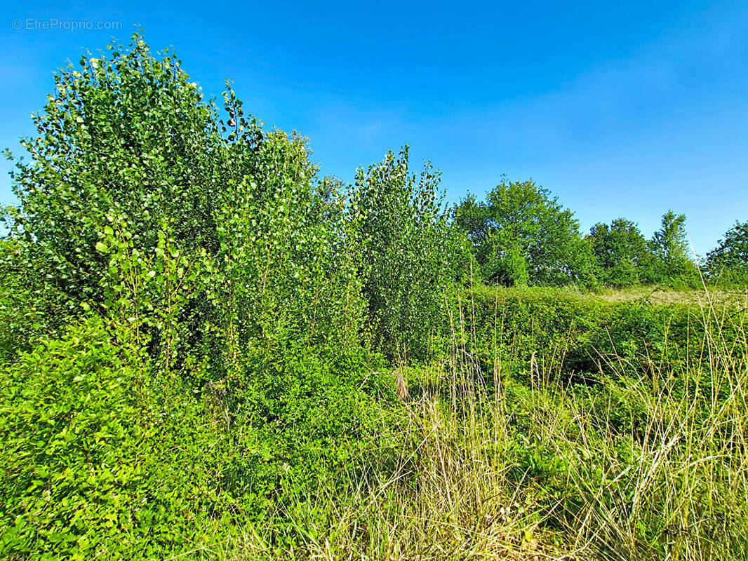 Terrain à MONCLAR-DE-QUERCY