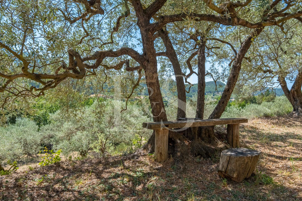 Villa avec vue sur le Mont Ventoux entre Vaison et Buis - photo 9