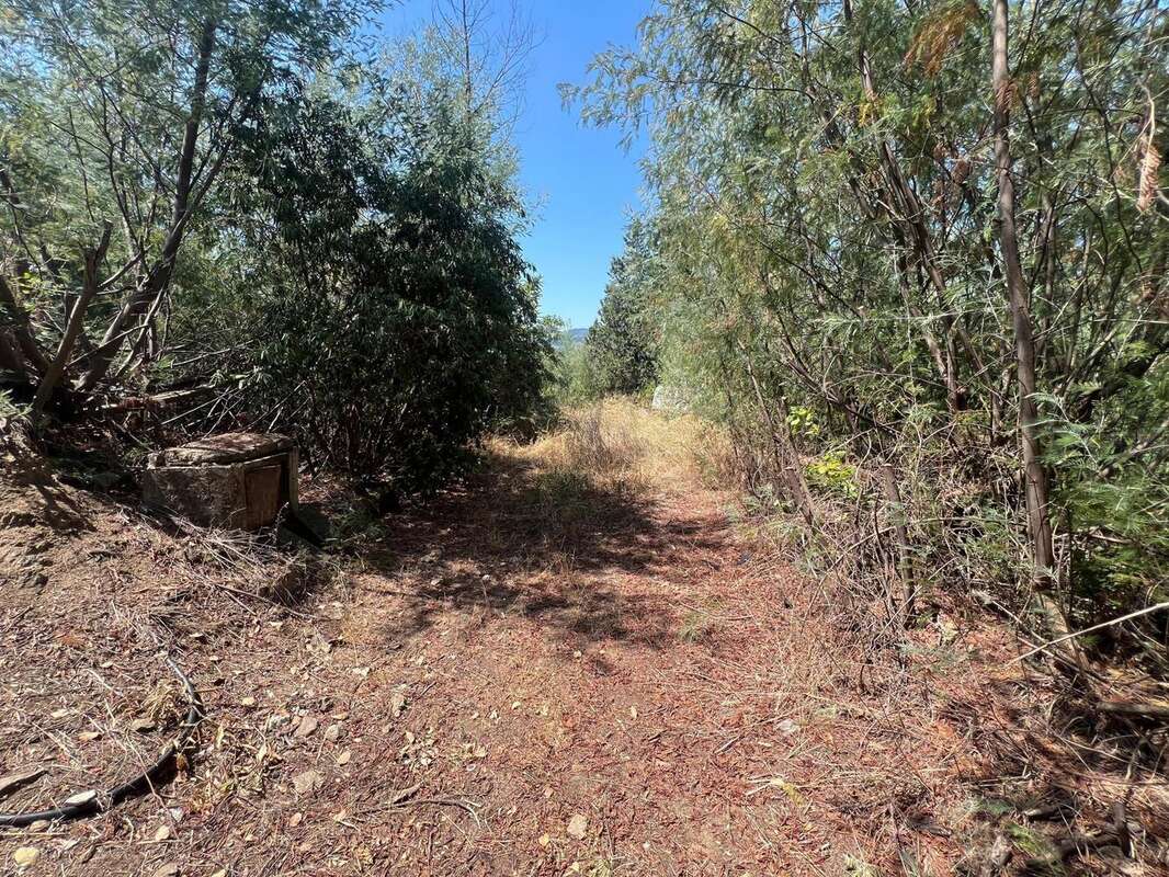 Photo 4 - Terrain à AURIBEAU-SUR-SIAGNE