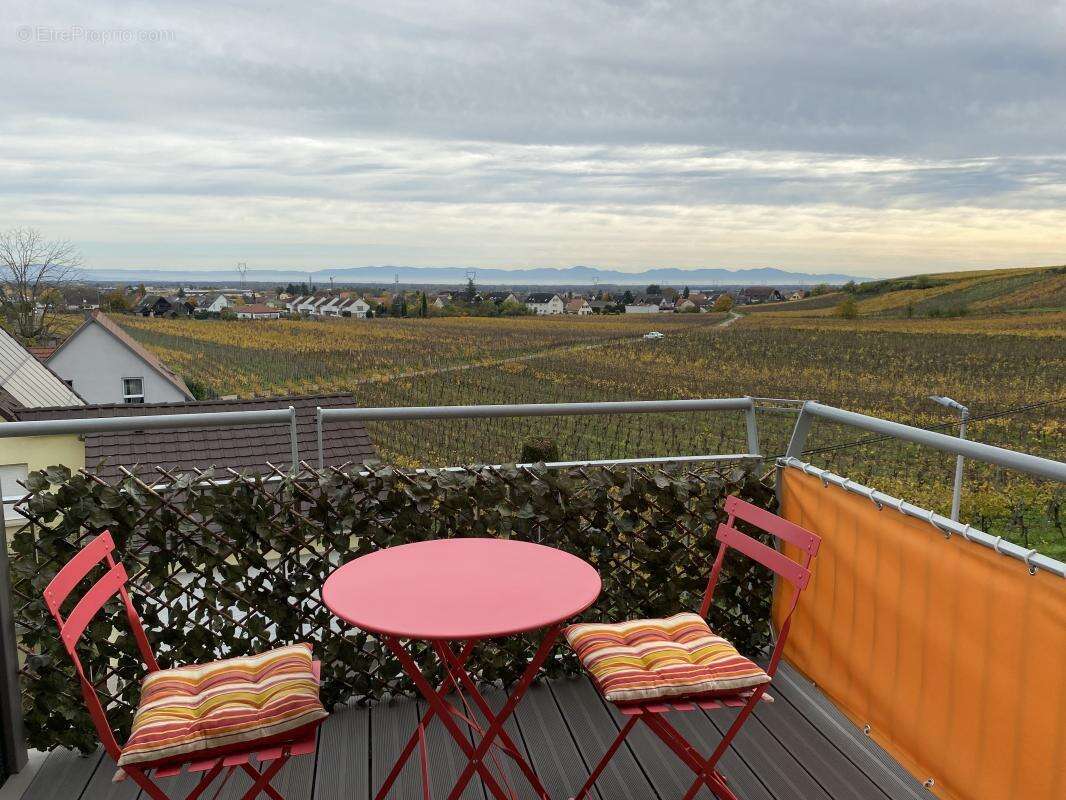 Appartement à WINTZENHEIM