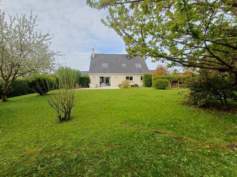 Maison à SAINS-EN-AMIENOIS