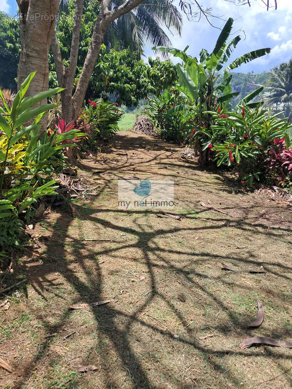 Terrain à LE LAMENTIN