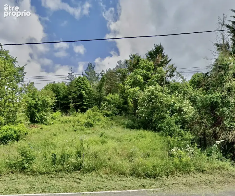 Photo Terrain à Gy-L'eveque au prix de 21 000€