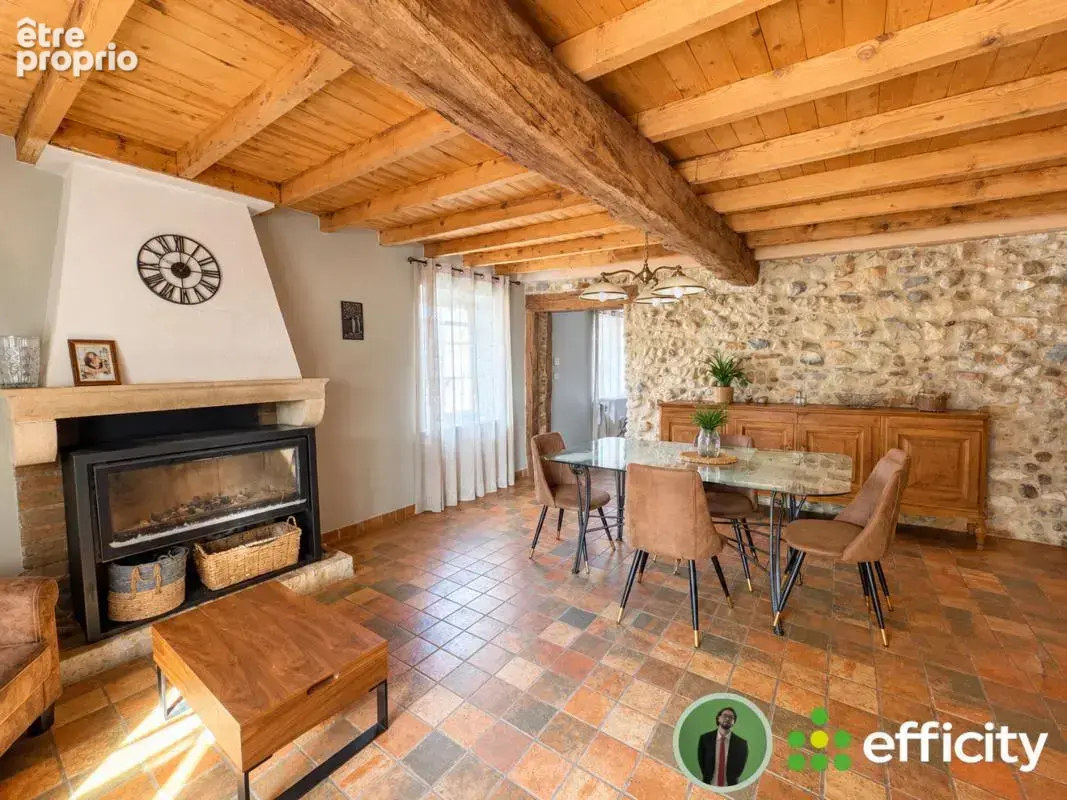 Maison 13 pièces 320 m² à vendre à Lagnieu (01150) - photo 3