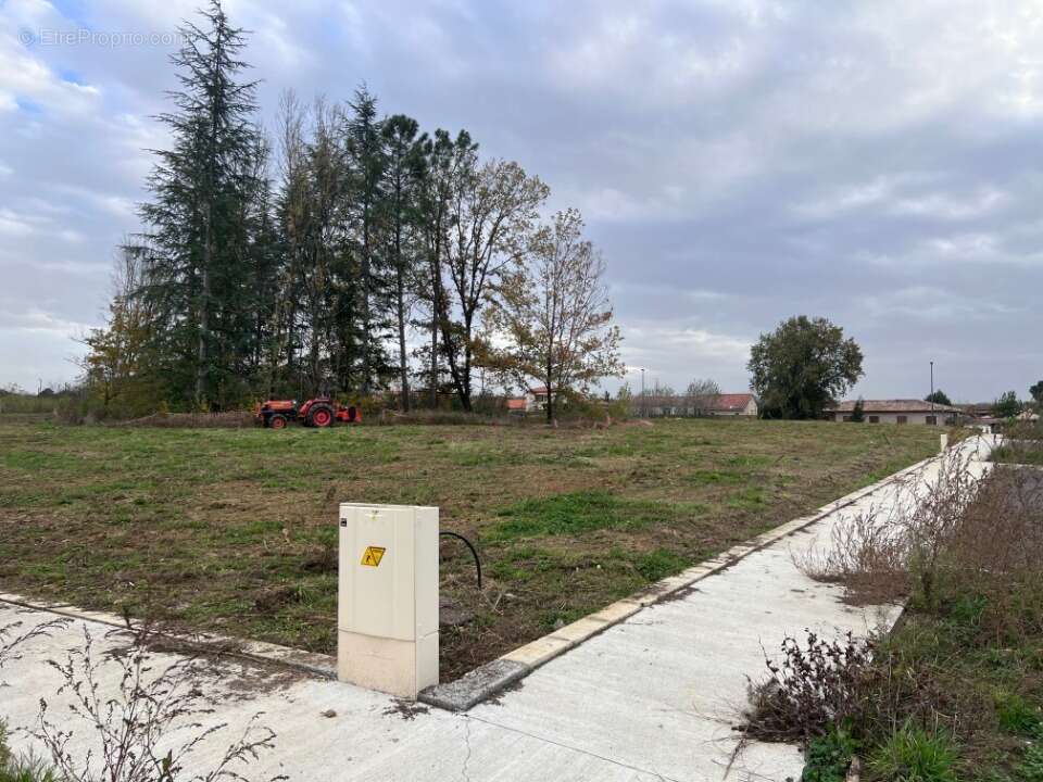 Terrain à MONTBERON