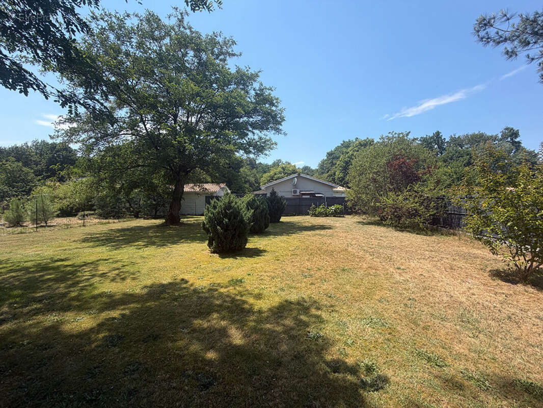 Terrain à vendre de 1200 m² à SALLES - Réf. 4542 - photo 3