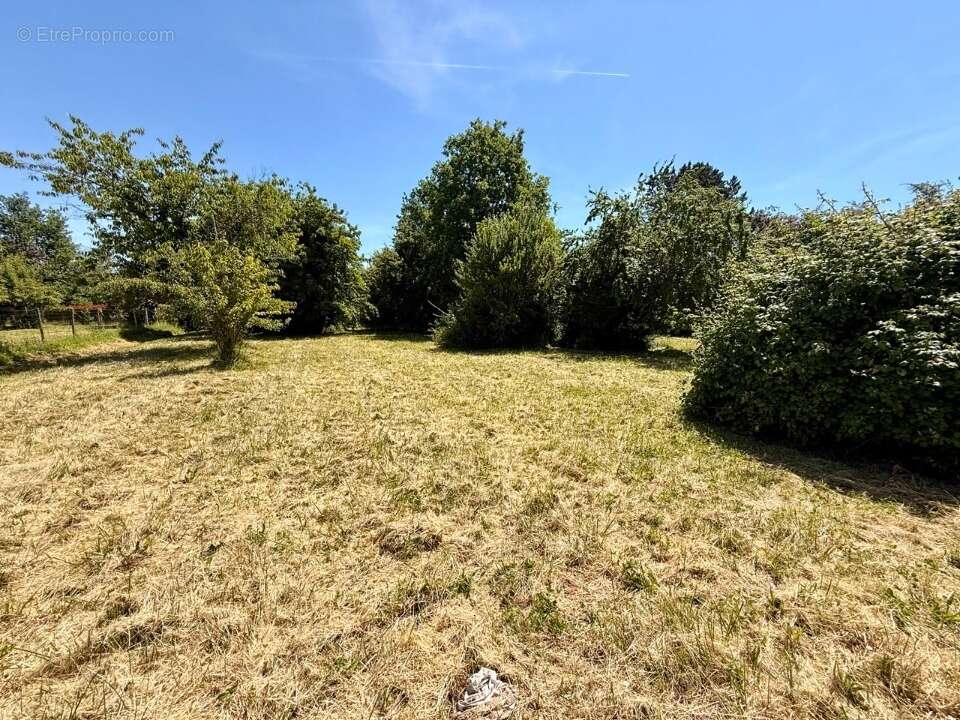 Terrain 1000 m² à Bergerac  - photo 4