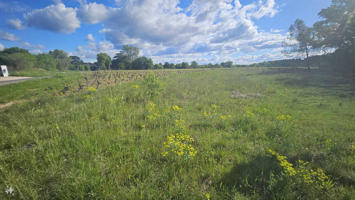 Terrain à GALARGUES