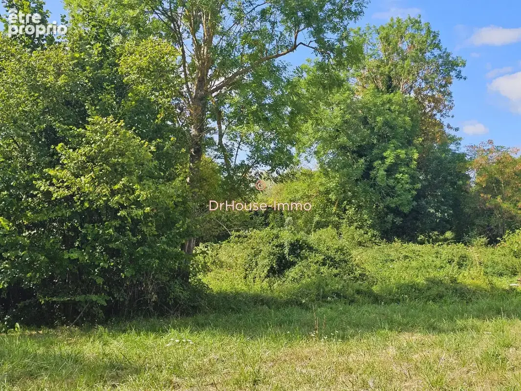 Terrain 6 624 m² à vendre à Gannat (03800) - photo 6