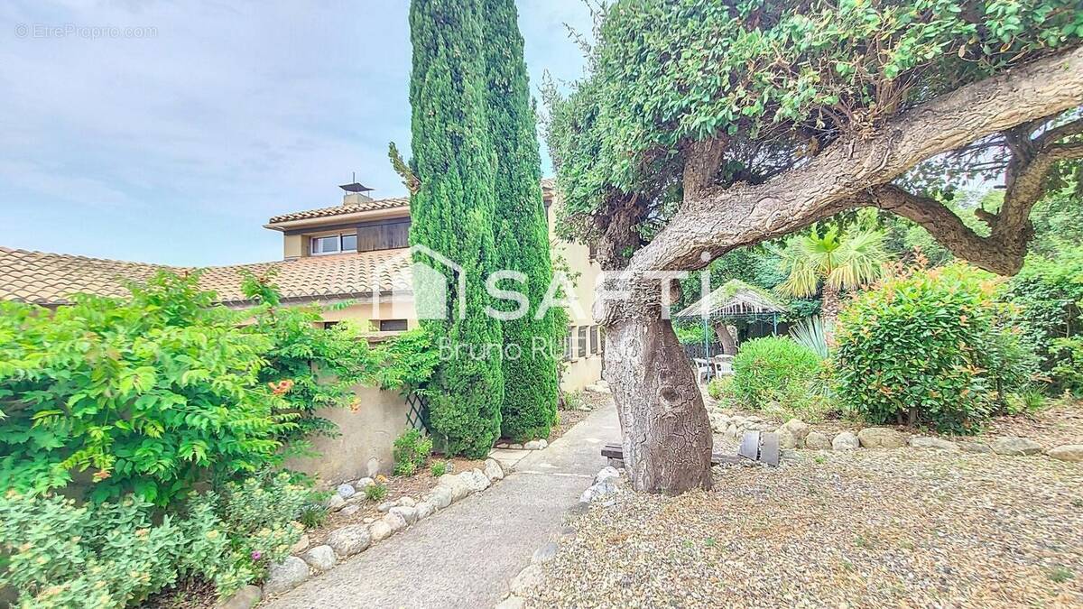 Photo 1 - Maison à MONTESQUIEU-DES-ALBERES