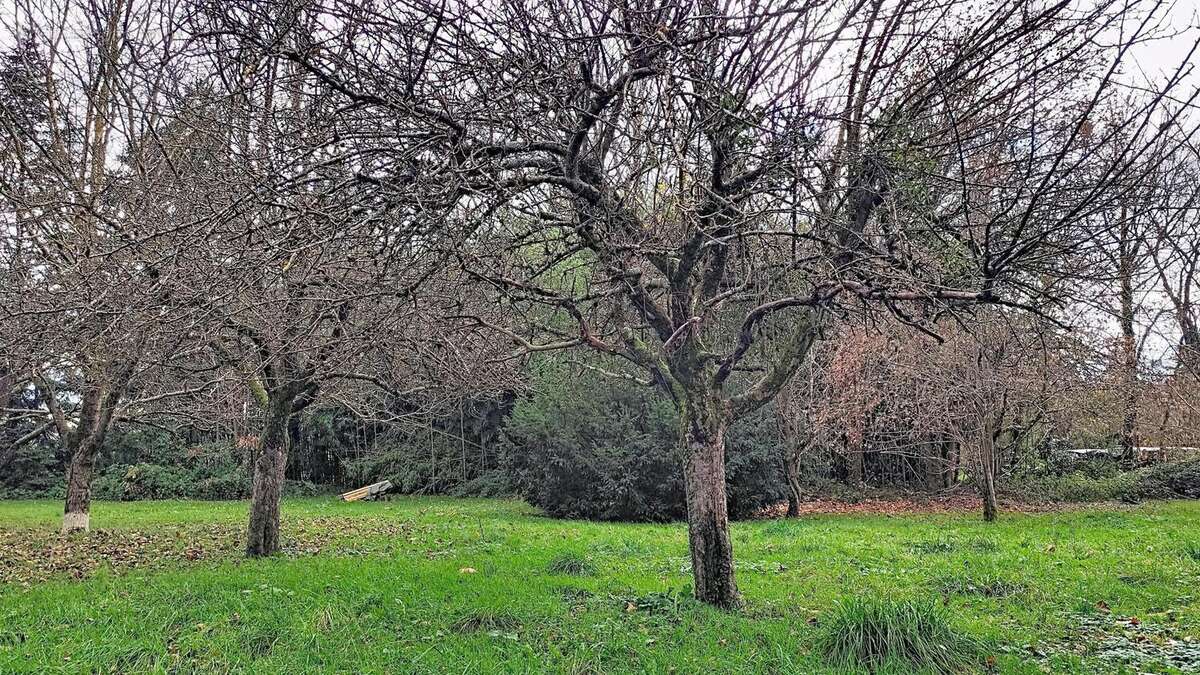 Photo 4 - Maison à DOMMARTIN