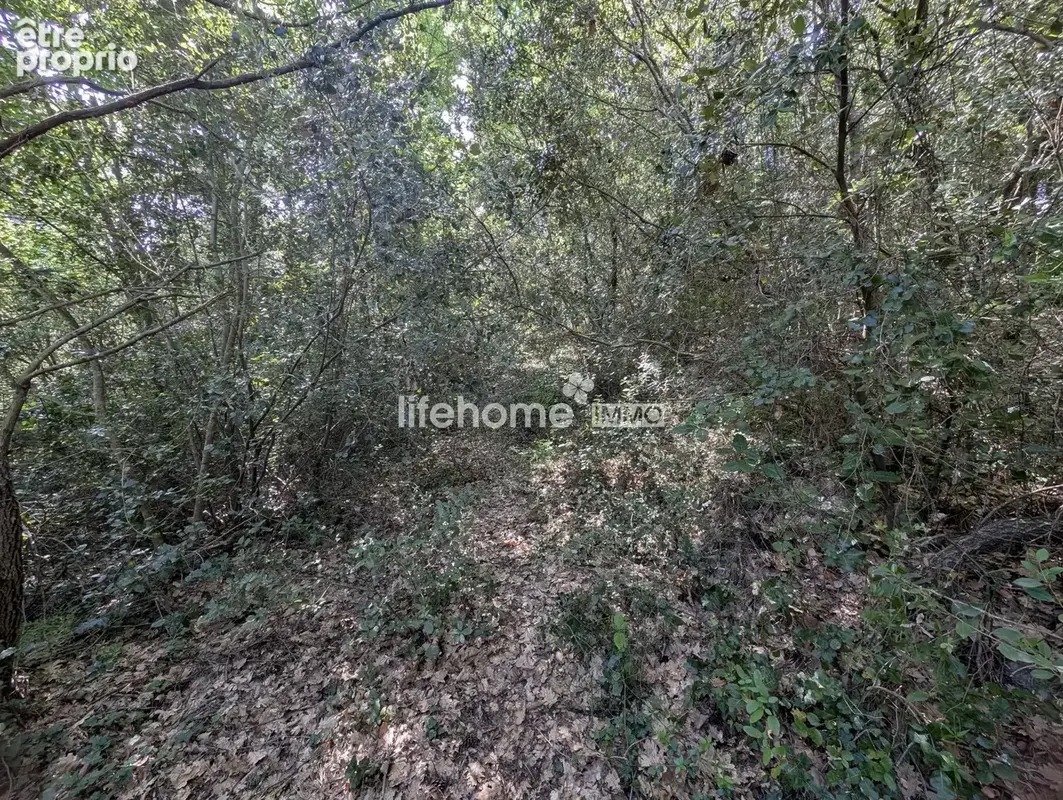 Terrain 29 121 m² à vendre à Le Luc (83340) - photo 5