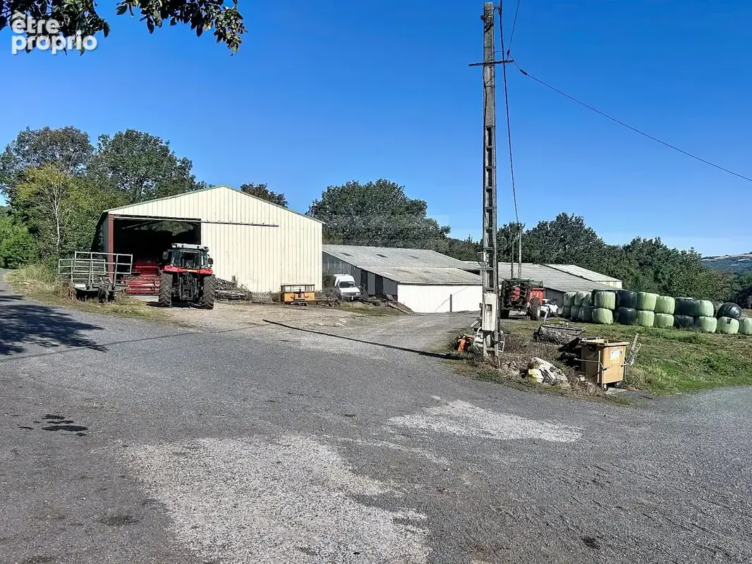 TARN - Propriété agricole spécialisée en élevage ovin - photo 2