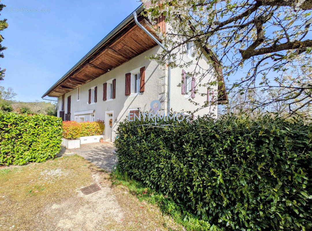 Maison à ALBENS