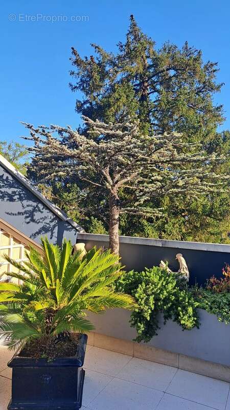 Appartement à MEYLAN