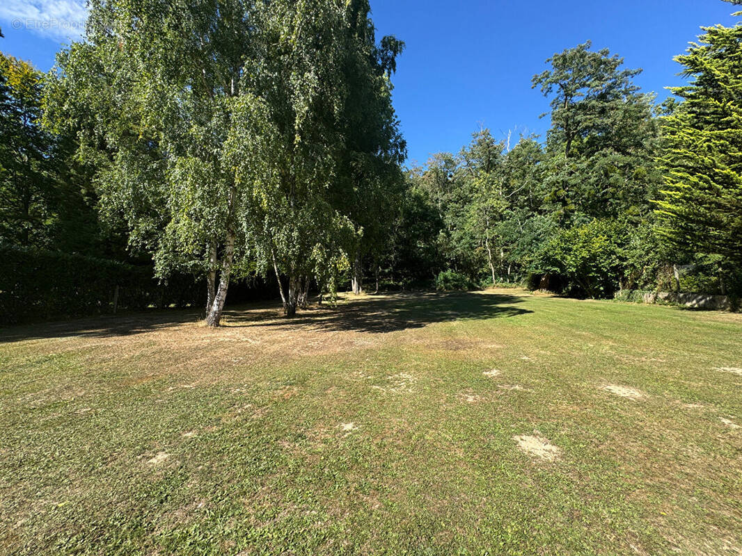 Terrain à SAINT-REMY-L'HONORE