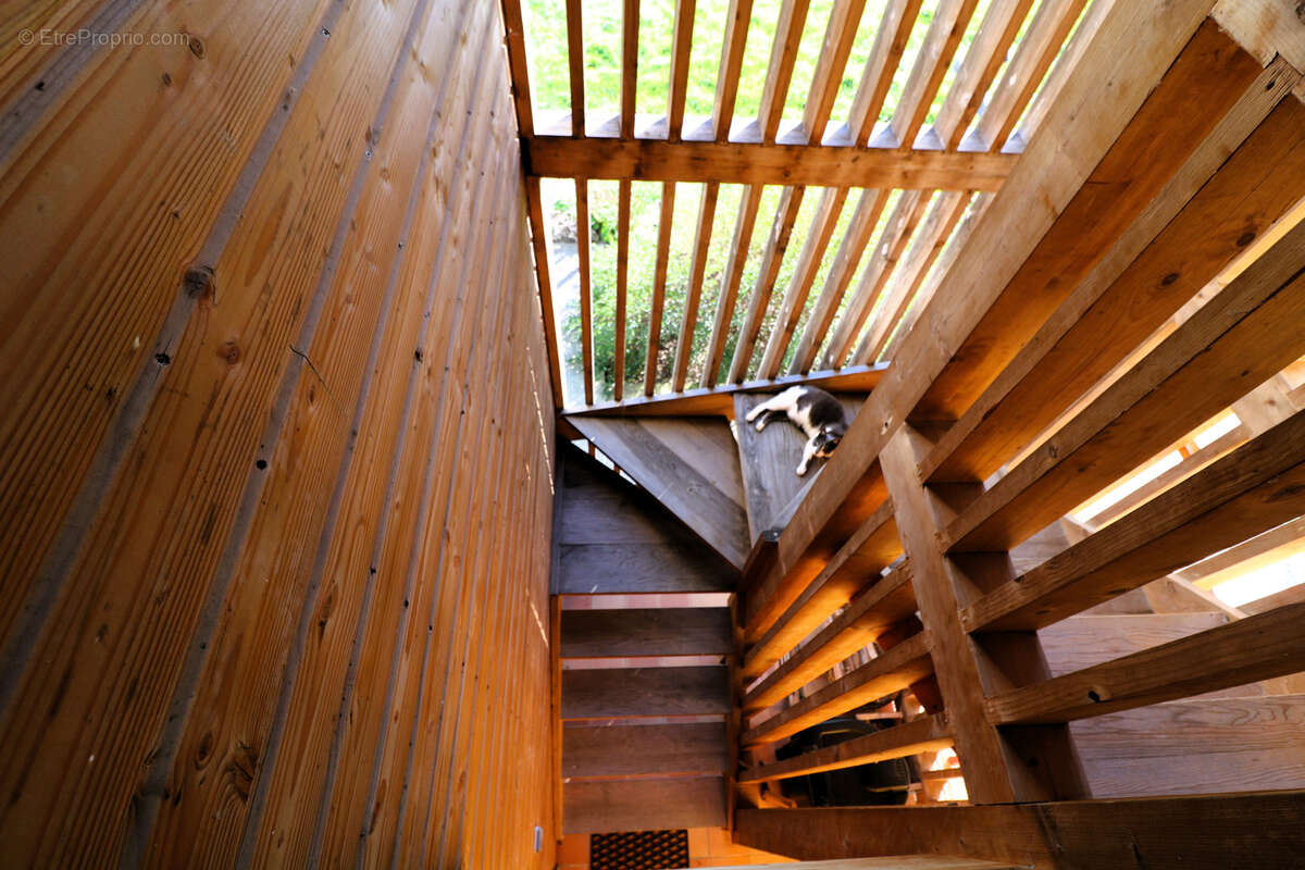 Propriété de 2.5ha avec Maison rénovée, dépendances, Vue Pyrénées - photo 60