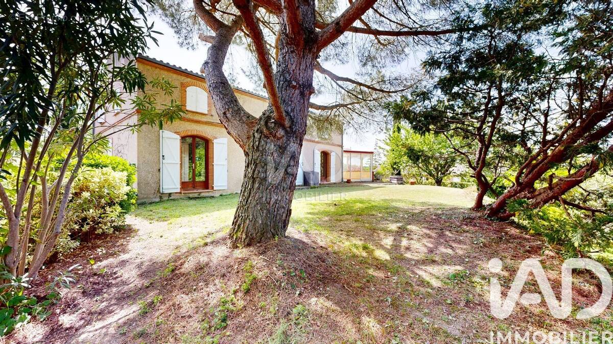 Photo 1 - Maison à DEYME