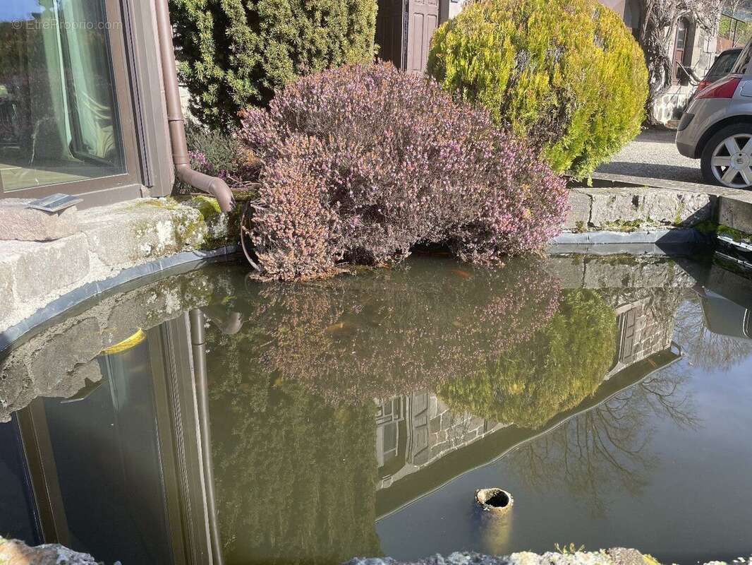 Charmante demeure vallee de la maronne - photo 18