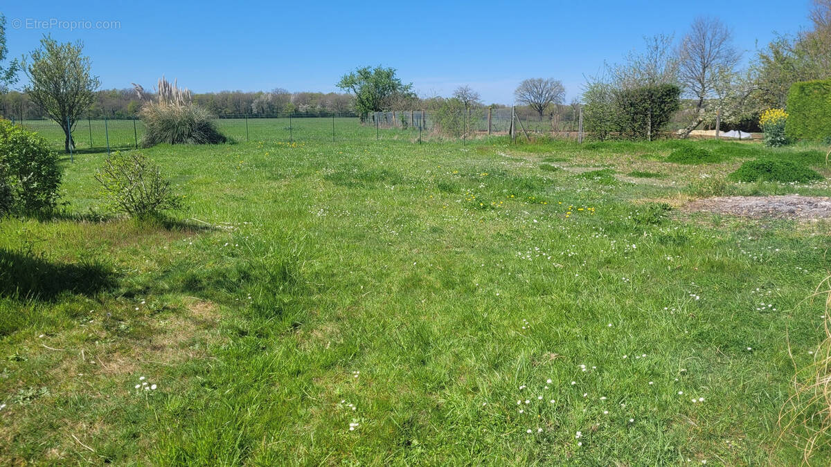 Terrain à NIEUIL-L&#039;ESPOIR