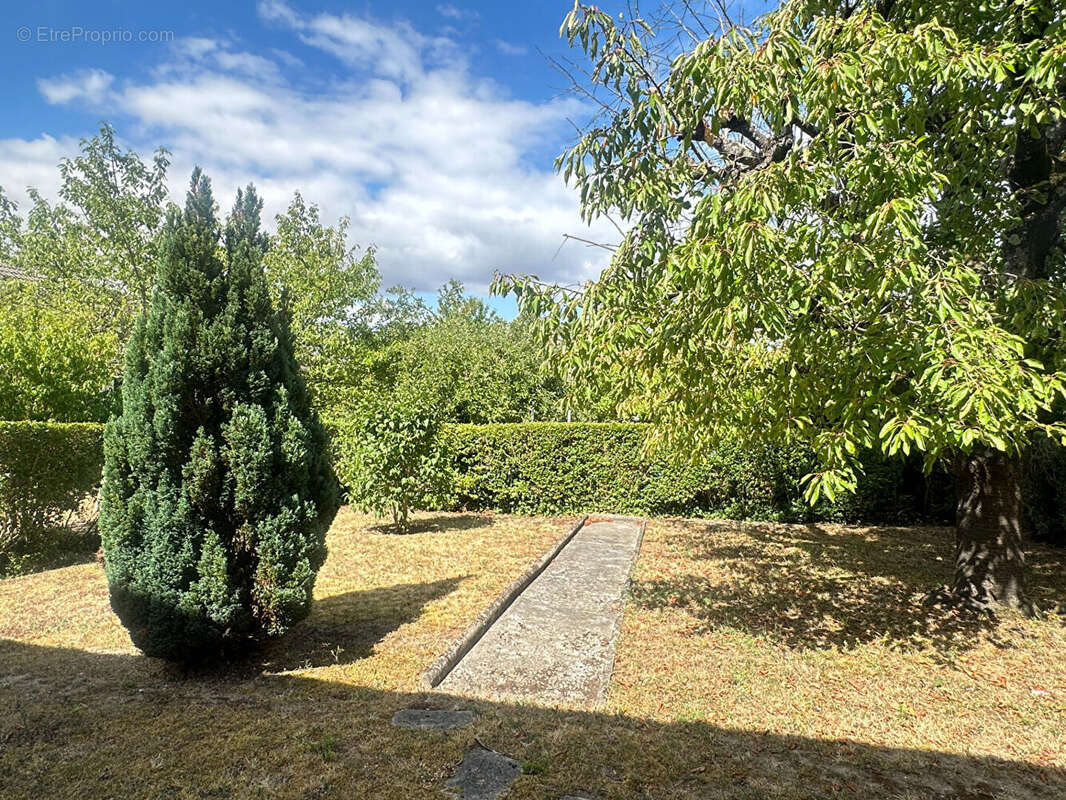 Maison de plain-pied surélevé - Limay - 3 chambres - 340 m² terrain - photo 3