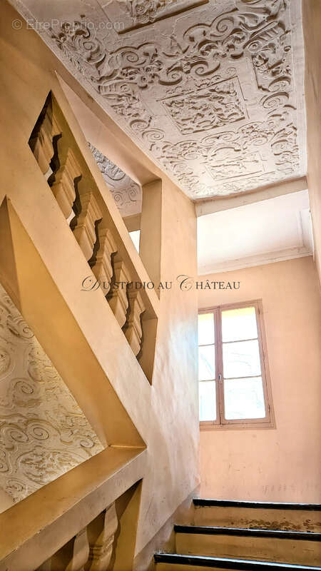 Dans Hôtel XVIIIème appartement T2 de standing centre-ville historique, superbes volumes - photo 3