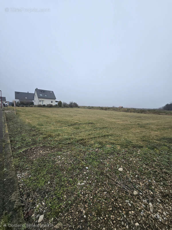 Terrain à RUSTENHART