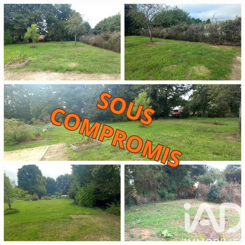 Photo 1 - Terrain à MARTINET