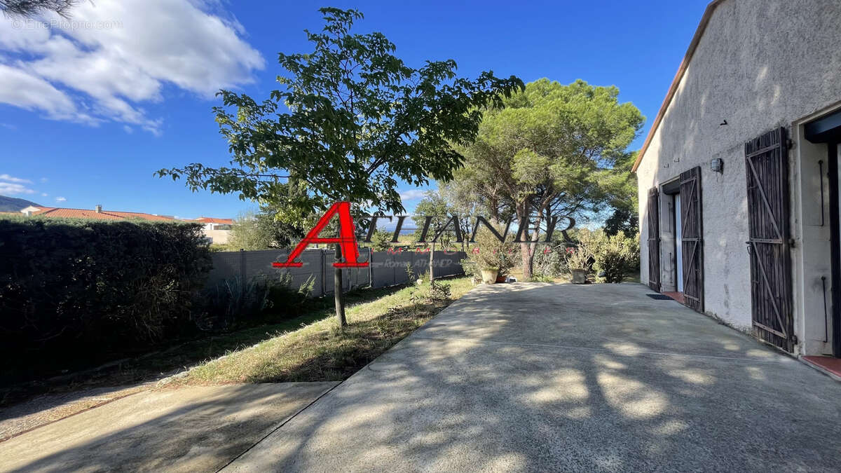 Villelongue Dels Monts - Villa 4 Faces 102 m2 carrez (160m2 utile) sur 3106m2 - photo 6