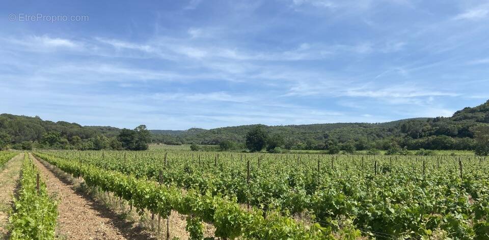 Terrain à LEZIGNAN-CORBIERES