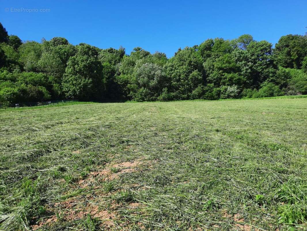 Terrain à BAVILLIERS