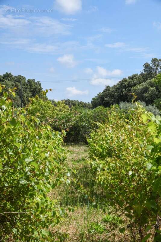 Terrain à UZES