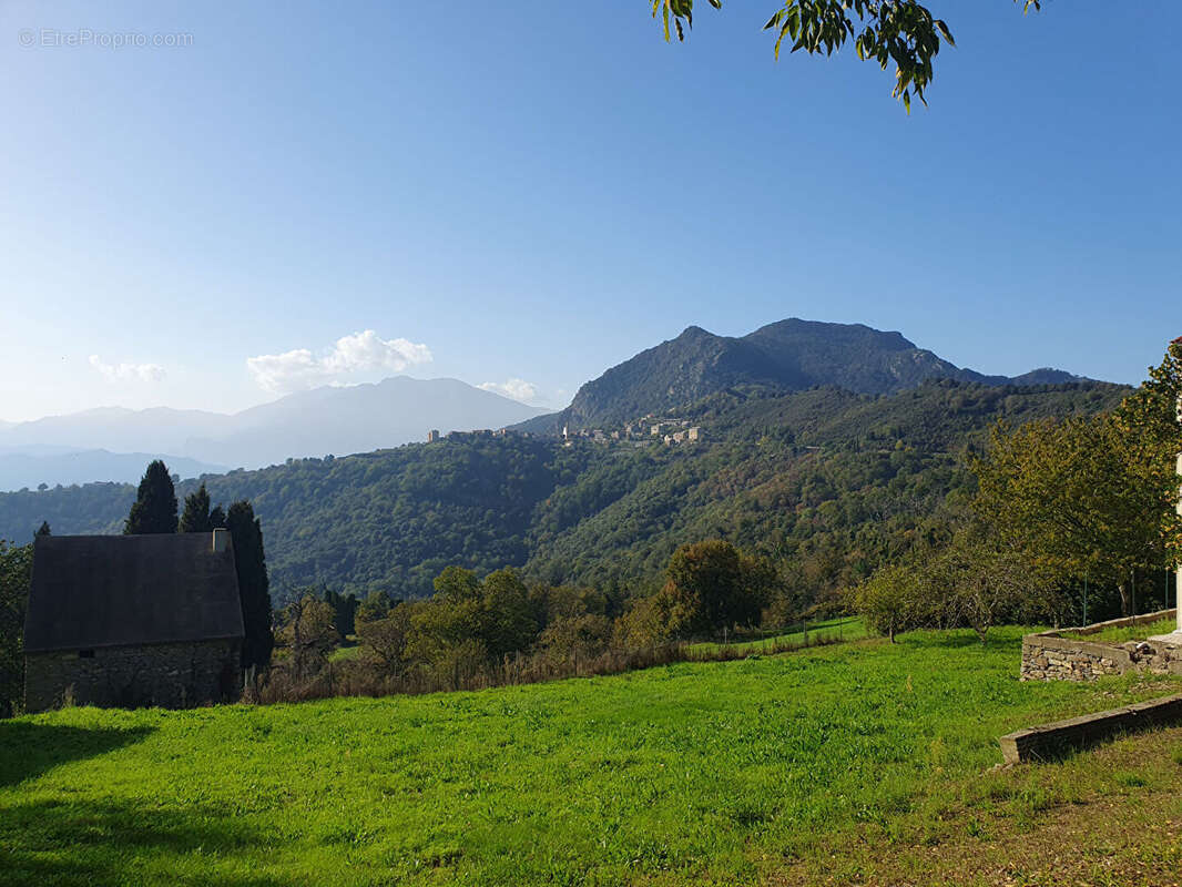 Appartement à PIETRASERENA