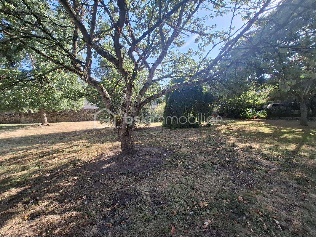 Authentique girondine 260 m² – Terrain arboré de 2 500 m² – Sainte-Terre (33350) - photo 25
