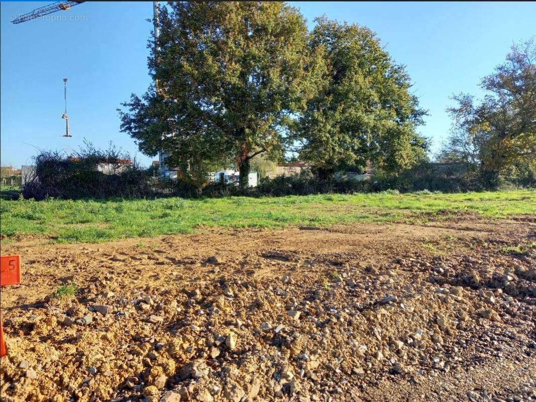 Terrain à LA ROCHE-SUR-YON