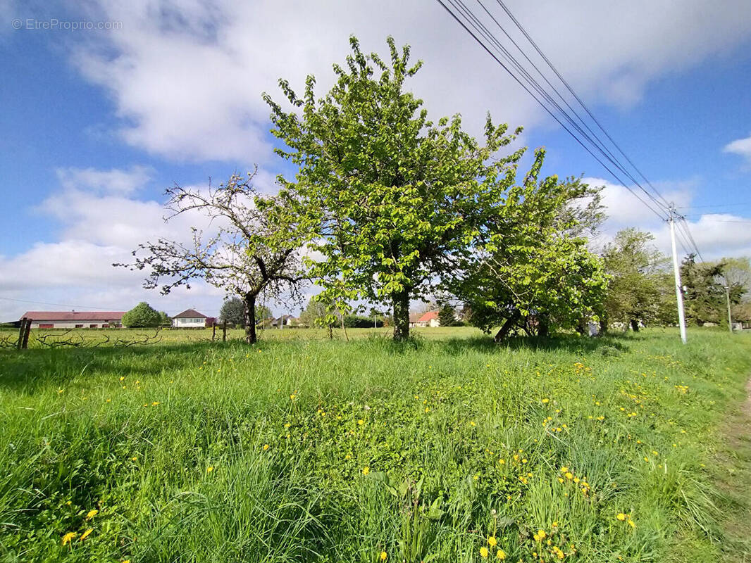Terrain à SAINT-MAURICE-EN-RIVIERE