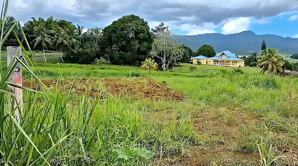 Photo 1 - Terrain à LAMENTIN