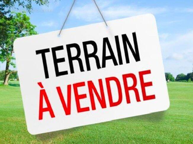 Terrain à SAINT-SAVIN