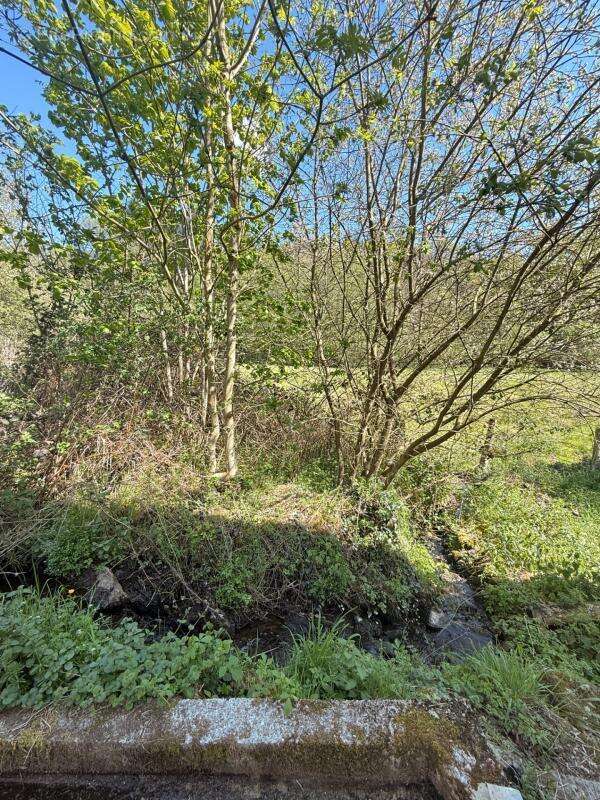 MAGNIFIQUE Moulin de Peurousseau 142m², 4 chambres sur terrain de 4663m² 149 000 € - photo 66