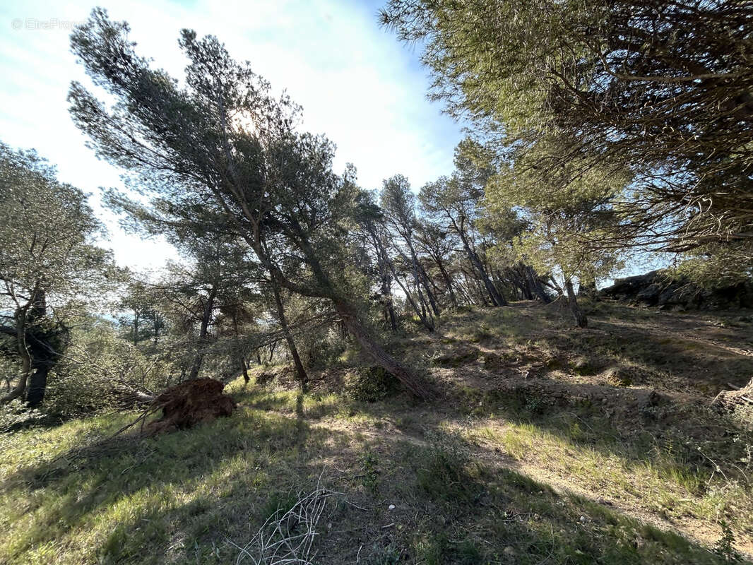 Terrain à LEZIGNAN-CORBIERES