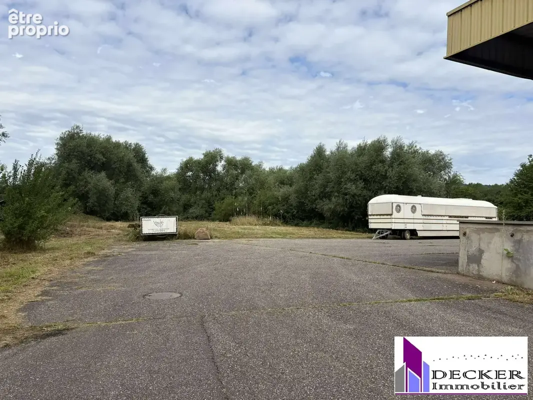 Commerce 4000 m² à Steinbourg  - photo 6