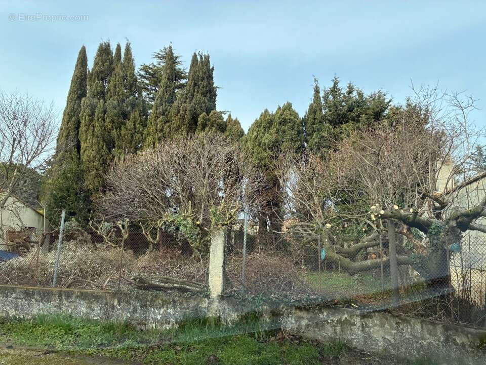 Terrain à CABANNES