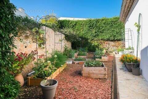 Maison à VILLENEUVE-LOUBET