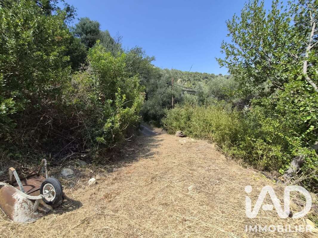 Terrain 802 m² à Gorbio  - photo 8
